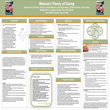 Learning team 3 poster presentation 11.11.13