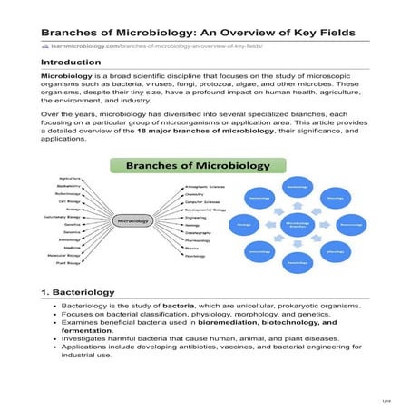 Branches of Microbiology: An Overview of Key Fields