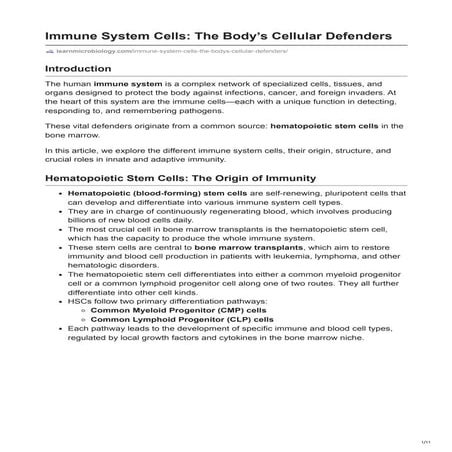 Immune System Cells: The Body’s Cellular Defenders