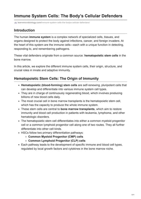 Immune System Cells: The Body’s Cellular Defenders