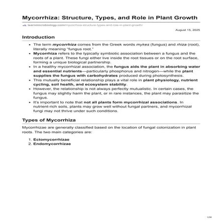 Mycorrhiza: Structure, Types, and Role in Plant Growth