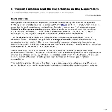 Nitrogen Fixation and Its Importance in the Ecosystem