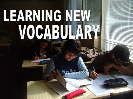 Learn new vocabulary