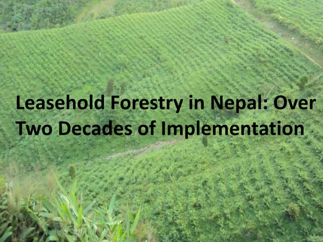 Leasehold forestry in Nepal over two decades of implementation