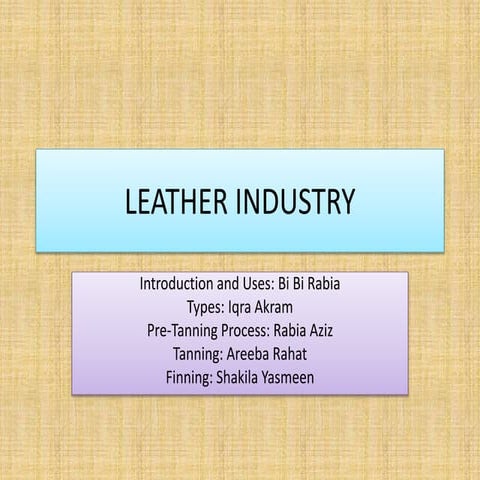 Leather Industry | Applied Chemistry