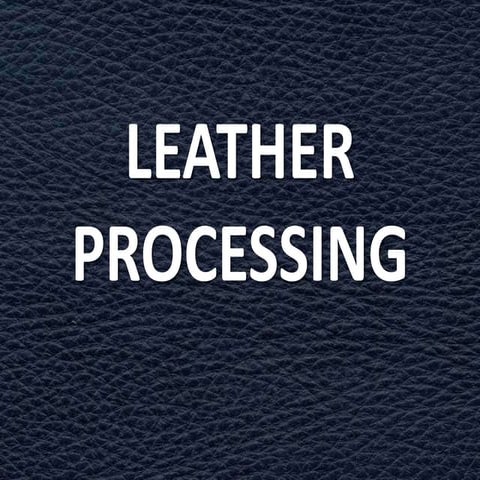 Leather processing