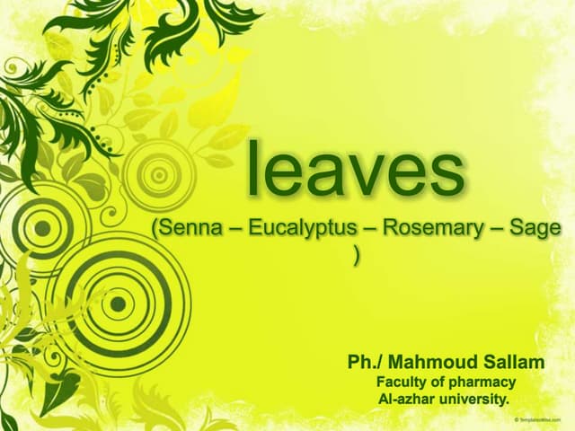 leaves (senna, eucalyptus, rosemary...