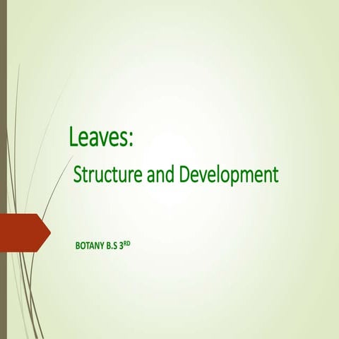 Leaves - strucutre and development.ppt