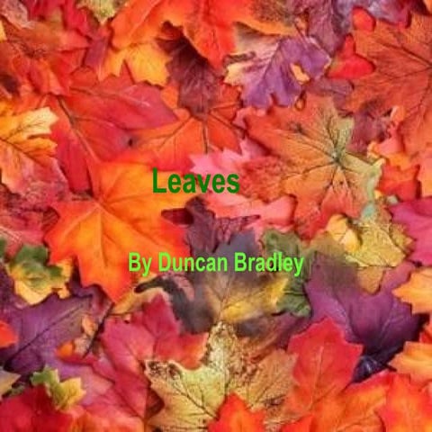 Biology, Photosynthesis, leaf structures.pptx