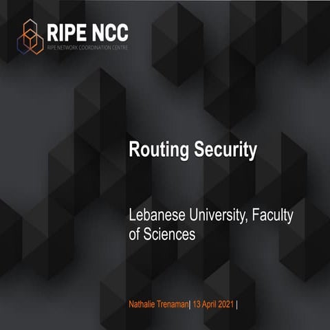 Routing Security