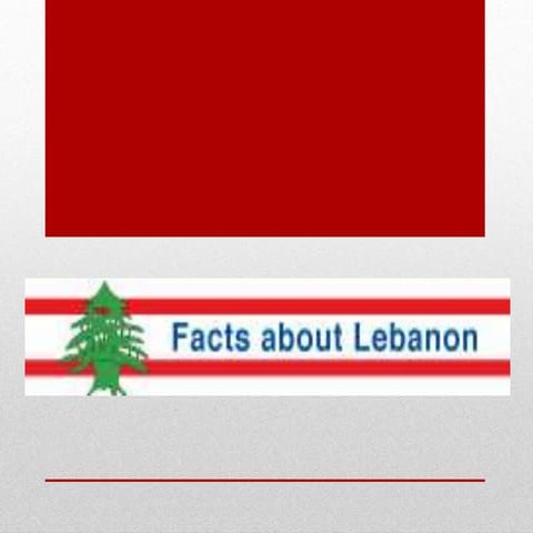 Lebanon Facts Activity 