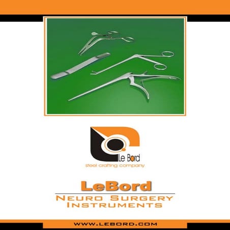LeBord Neuro Surgery Instruments | PDF
