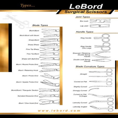 LeBord Surgical Scissors | PDF