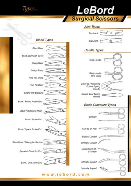 LeBord Neuro Surgery Instruments | PDF