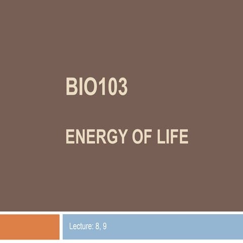 The Energy of Life: An Exploration of ATP