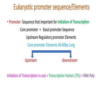 Eukaryotic promoter sequence/Elements