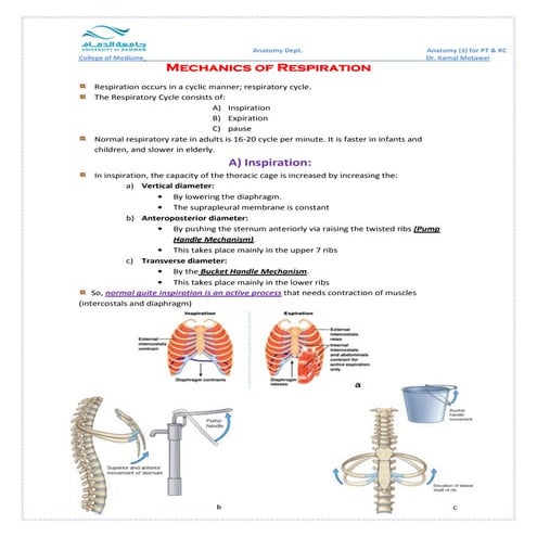 Lec.10 mechanics of resp