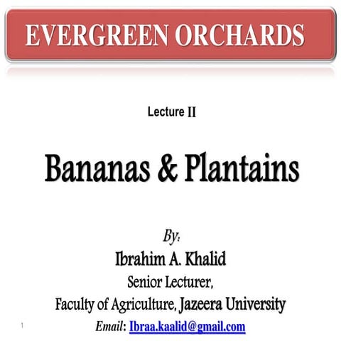 Lec. ii banana and plantain