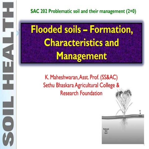 Flooded soils – formation, characteristics and management