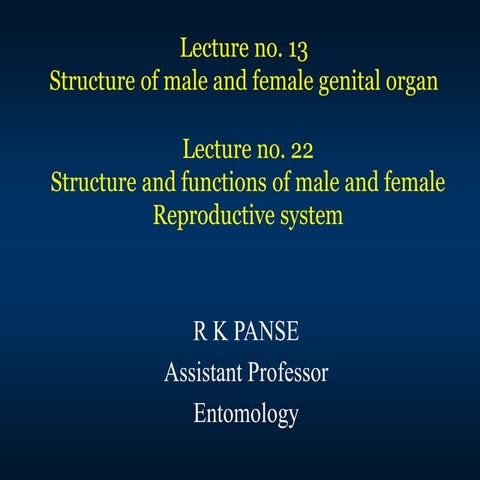 Lec. 22&13 Structure and functions of male and female reproductive system in insects.ppt