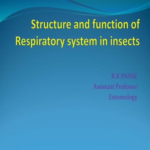 Lec. 19 respiretory system.ppt