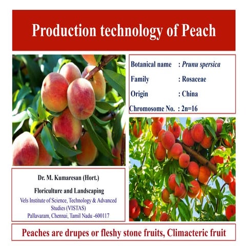 Production technology of Peach (Prunu spersica)