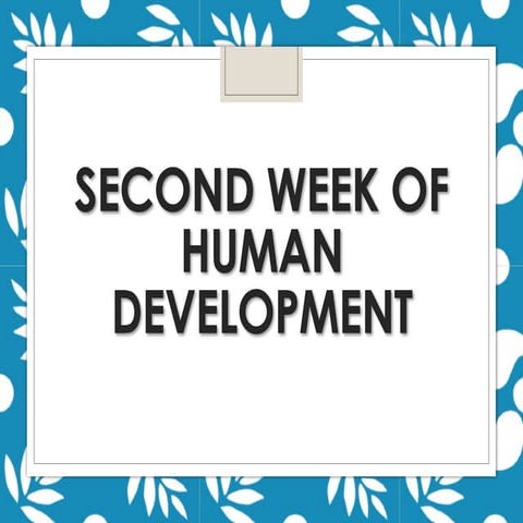 lec-3. II week of embrional development.pdf