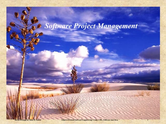 Software Engineering Lec 3-project managment