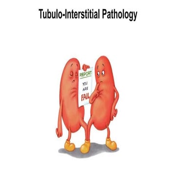 tubulointerstitial diseases-
