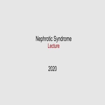 Lec nephrotic syndrome