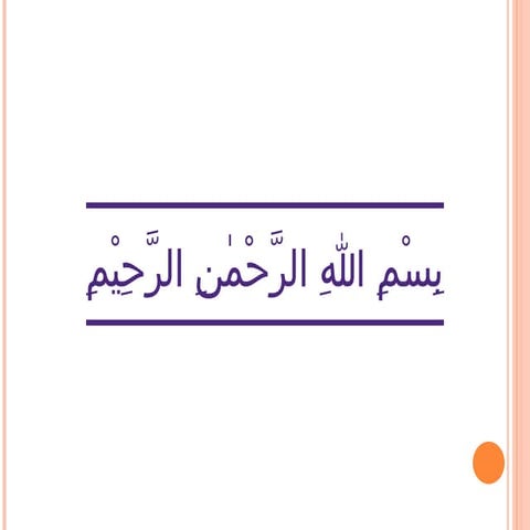 databutton of cp non tech relates university