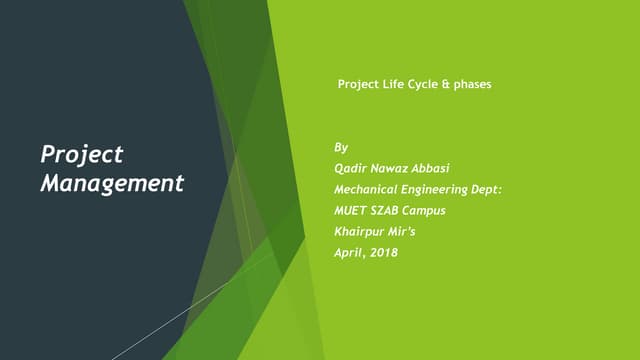 Lec 03 project life cycle