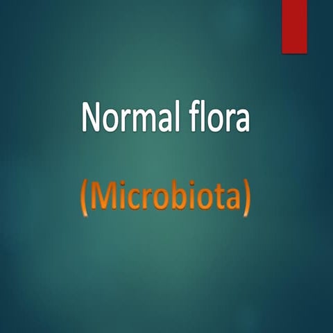 Role and Importance of Normal flora in Different Parts of Body