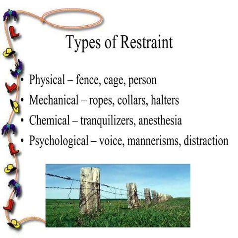 Lec 04 Restraint PPT