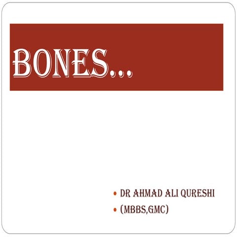 BONES Lecture 6
