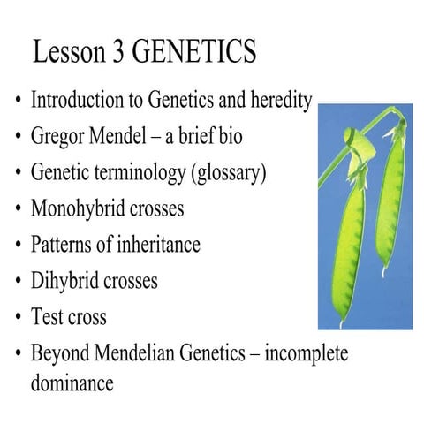 Genetics..............................ppt