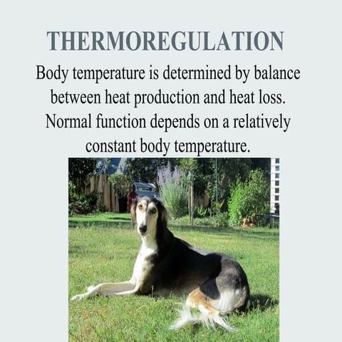 Lec 09 Thermoregulation