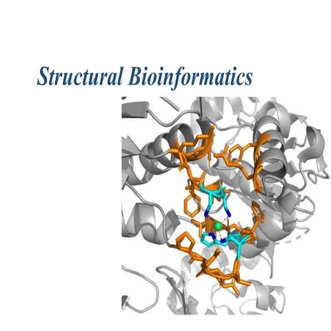 Lec 1.2.3. Structural Bioinformatics.pptx
