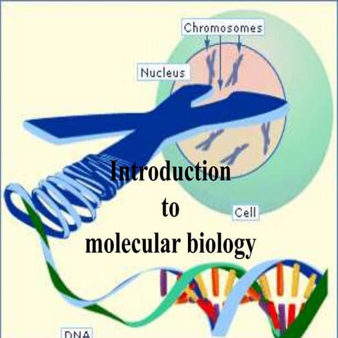 Lec  1  introduction to molecular biology