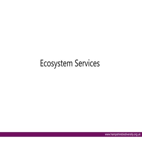 Ecosystem Services