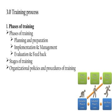 phases of training phases of training .pptx