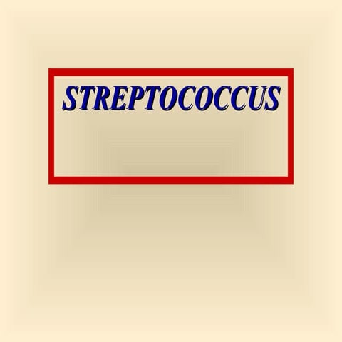 streptococci