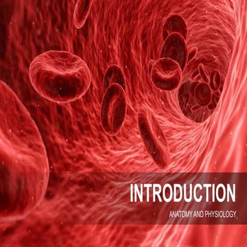 LEC1 INTRODUCTION_ANATOMY & PHYSIOLOGY.pptx