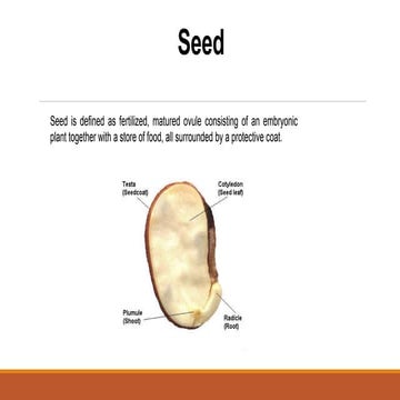lec1 seed development.pptx