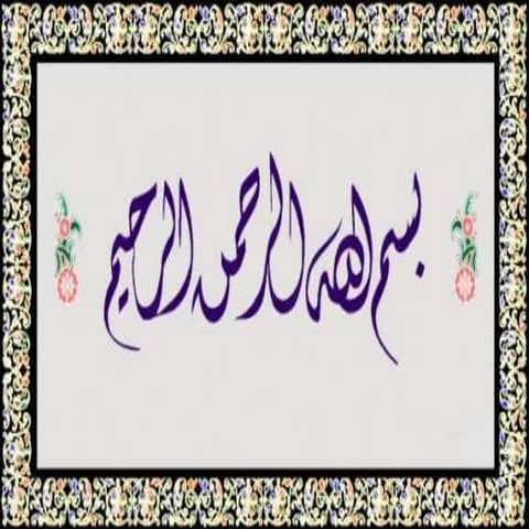 invertebrates : chelicera