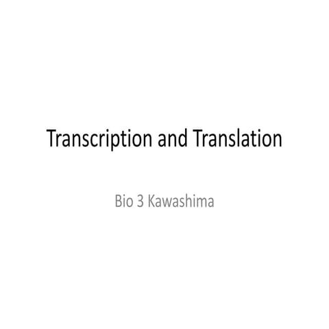 Lec23 Transcription And Translation