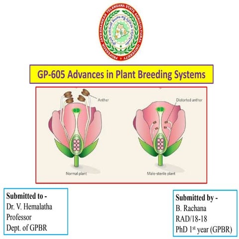 FERTILITY RESTORATION IN MALE STERILE LINES AND RESTORER DIVERSIFICATION PROG...