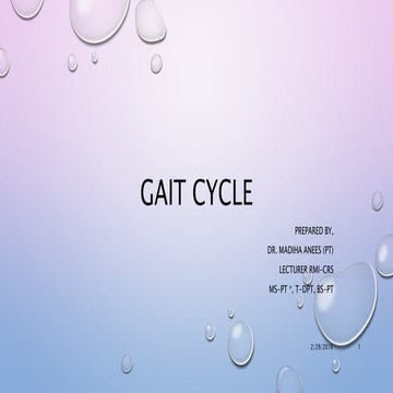 Lec 2 gait cycle