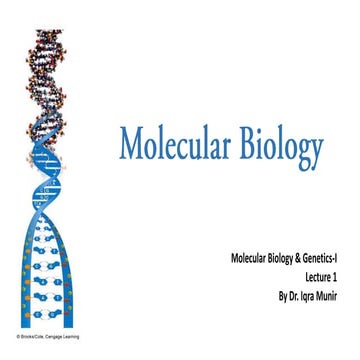 LEC#2 Nucleotides  .pdf