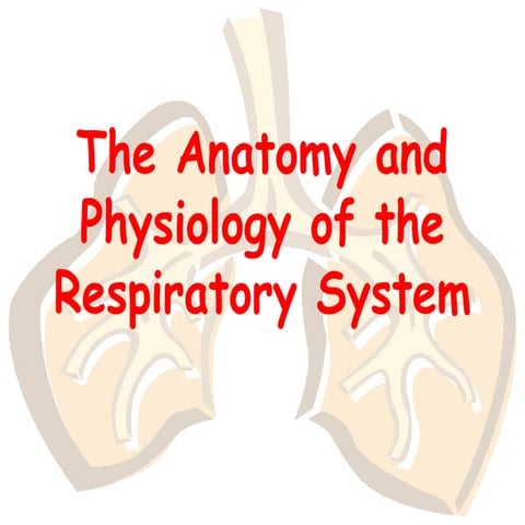 Lec 2 Respiratory system Structure function and detail.